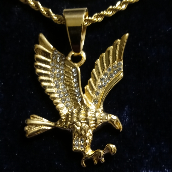 304 Stainless Steel Eagle Pendant With Large Chain Necklace  Stainless steel men\'s eagle necklace